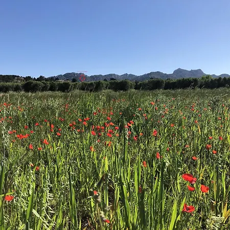Alpilles Oasis: Provençal With Heated Pool And Village Views *